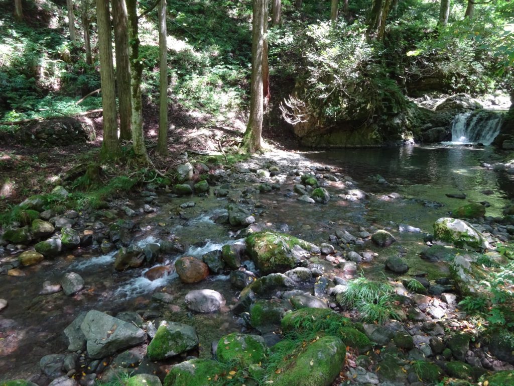 渓流 | 見どころ | 石川県県民の森